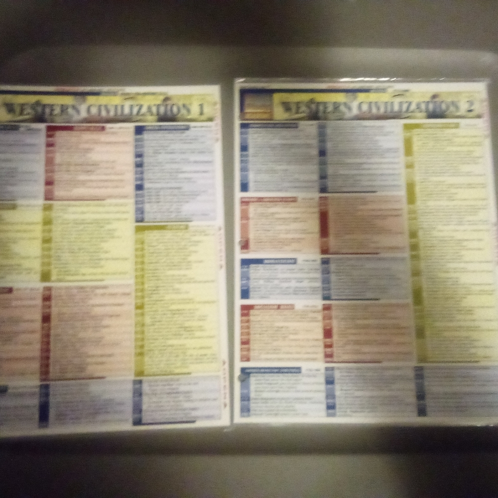 Set of 2 Western Civilization quick study guides